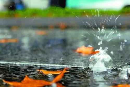 秋雨潇潇锁相思,一场深情邂逅的浪漫演绎