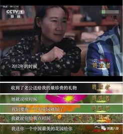 禁欲大佬撩宠小厂花（小可怜靠生子宠冠电子厂）