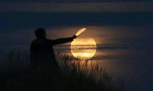 替身女配拿稳白月光剧本,白月光剧本的稳赢之道