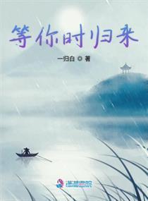 归来时,探寻心灵之旅的深刻启示